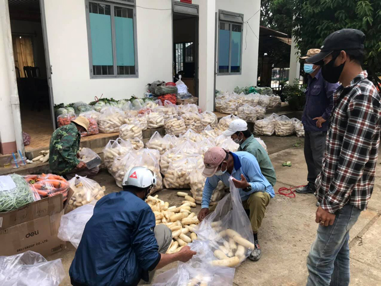 Rau, củ được phân loại trước khi bốc lên xe gửi về các khu cách ly tại Thành phố Hồ Chí Minh