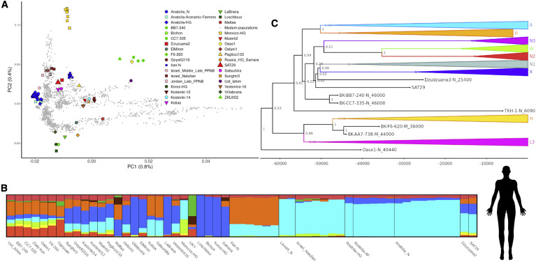  Bộ gen người cổ đại được giải mã từ bùn đất trong hang động. (Ảnh: Current Biology).