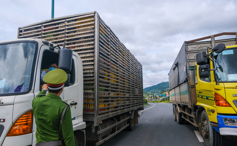 Đà Lạt: Siết chặt phòng dịch tại cửa ngõ đèo Prenn, Mimosa