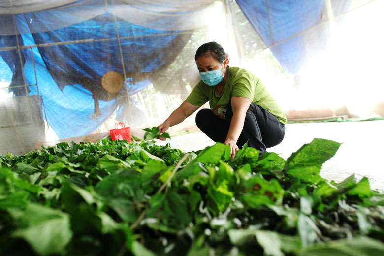 Mọi công việc lao động hàng ngày của chị Nguyễn Thị Thanh chỉ diễn ra nội bộ gia đình. Đồng thời, gia đình chị thực hiện nghiêm việc ở yên trong nhà, không tiếp bất kỳ ai