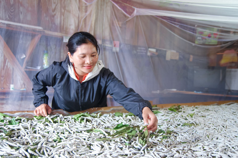 Vận động hội viên phụ nữ đồng bào dân tộc thiểu số tham gia công tác hội