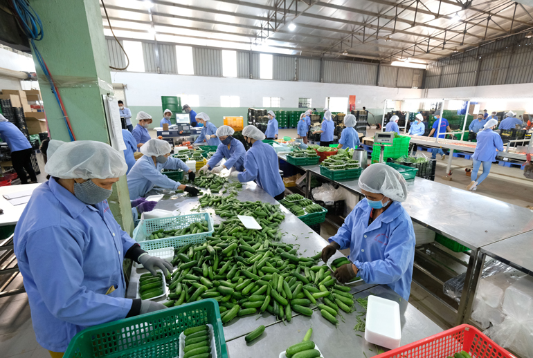 Nghị quyết 68 của Chính phủ, một quyết sách kịp thời, hợp lòng dân