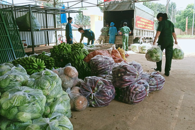 Ban Chỉ huy quân sự huyện Đức Trọng giúp người dân thu hoạch nông sản