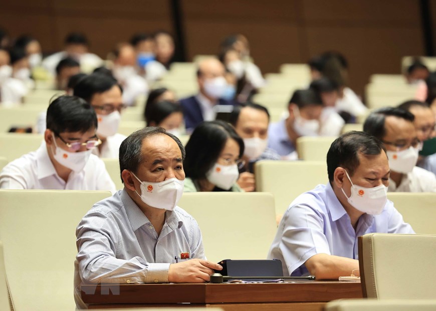 Các đại biểu tham dự kỳ họp. (Ảnh: Thống Nhất/TTXVN)