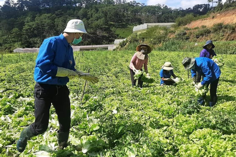 Lạc Dương: Thành lập Ban Chỉ đạo vận động ủng hộ các vùng bị cách ly, phong tỏa do dịch Covid-19