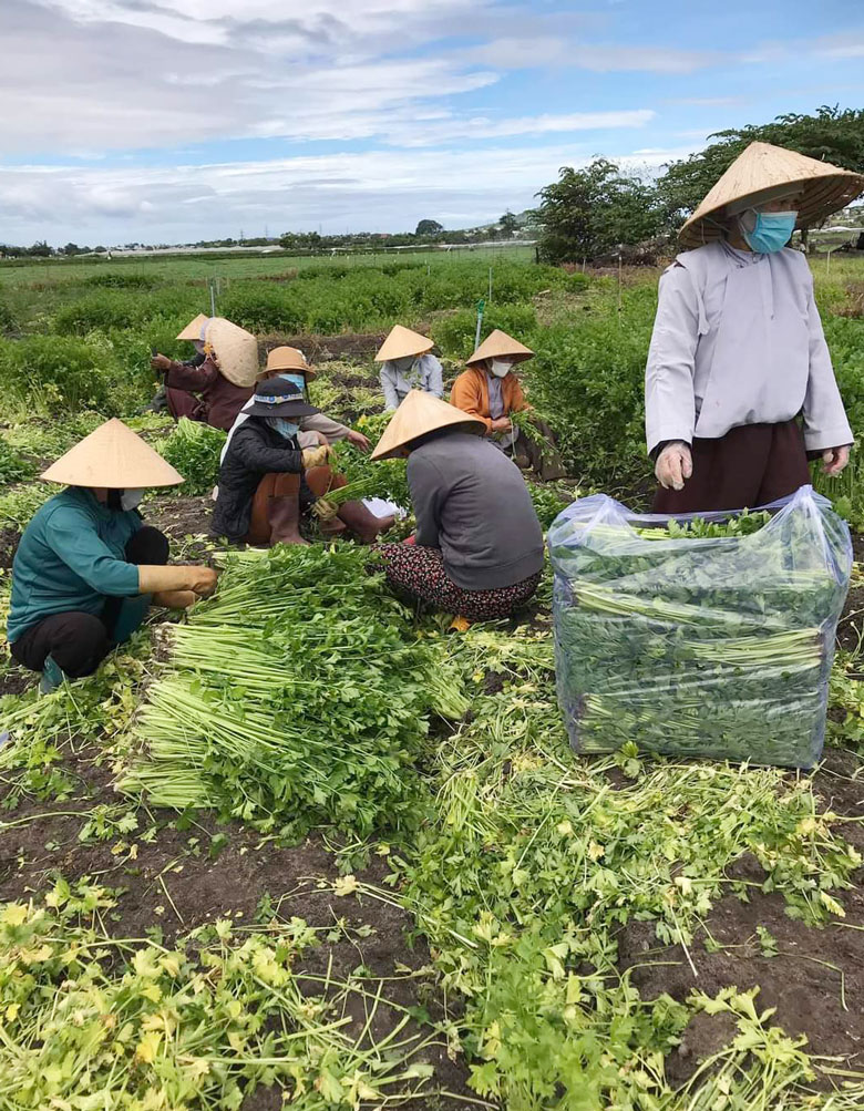 Đức Trọng: Hơn 1.000 tấn nông sản và nhu yếu phẩm hỗ trợ người dân vùng dịch