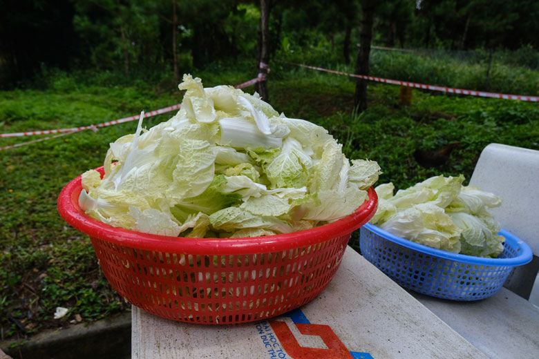 Món ăn cố định là các loại rau xanh, cơm, các món được thay đổi theo bữa ăn như tôm, cá, thịt, trứng…