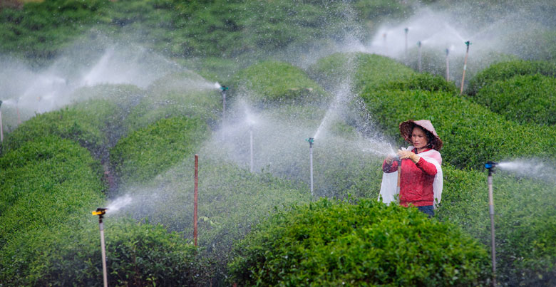 Lâm Đồng đạt nhiều thành tựu trong chuyển đổi số nông nghiệp