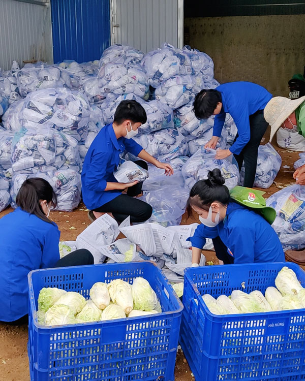 Màu xanh tình nguyện giữa tâm dịch