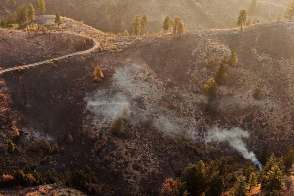 Nhiều cây cối bị đốt cháy sau vụ cháy rừng gần Wenatchee, Washington, Mỹ