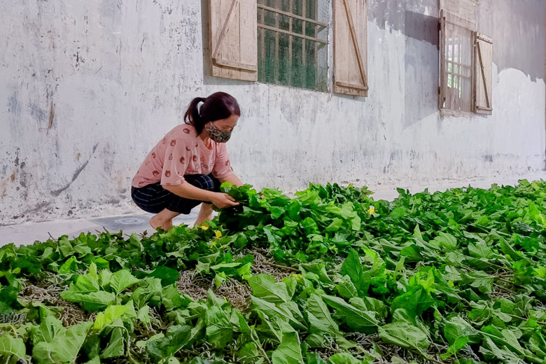 Đạ Tẻh: Đa dạng các hình thức giúp phụ nữ phát triển kinh tế