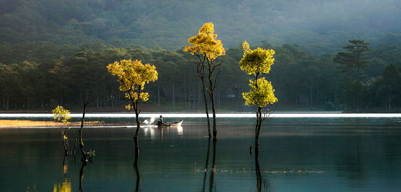 Sang mùa. Ảnh: Võ Trang