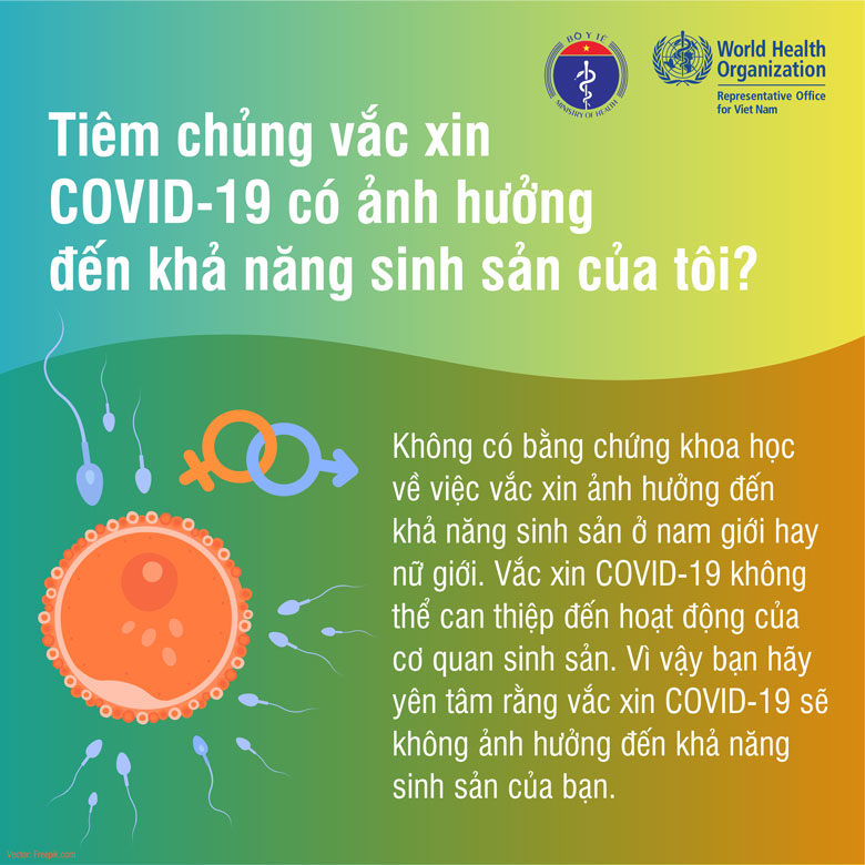 Vắc xin phòng Covid-19 và khả năng sinh sản