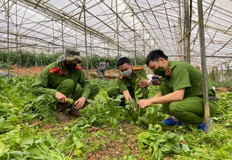 Thêm 32 tấn nông sản ủng hộ các tỉnh vùng dịch