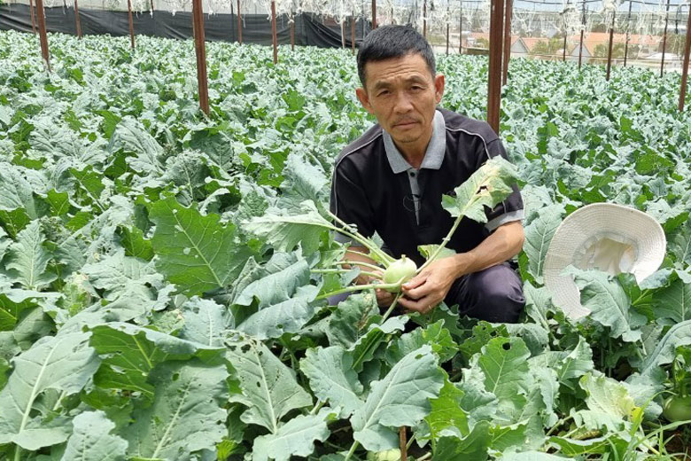 Khởi nghiệp qua tuổi bốn mươi