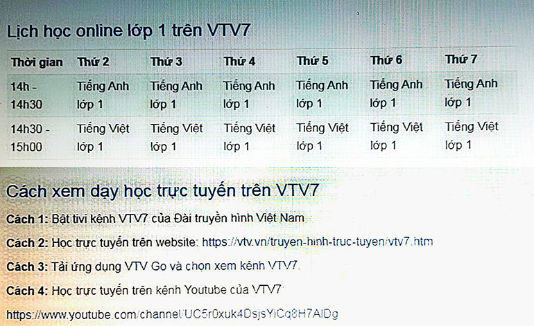Học sinh tiểu học học qua truyền hình và trực tuyến