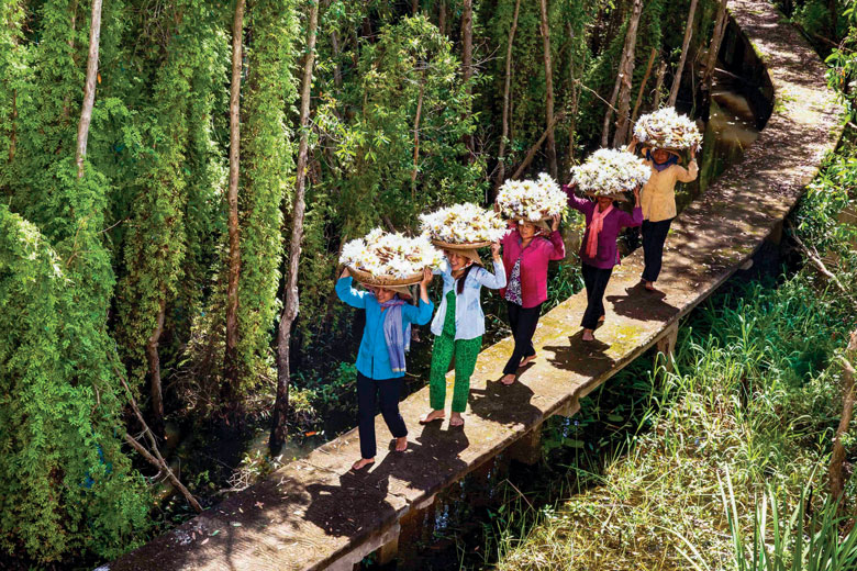 Hoa súng, một đặc sản của mùa nước nổi Long An. Ảnh: Võ Việt