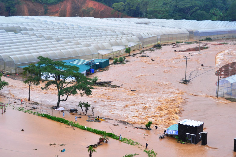Lạc Dương: Chủ động phòng, chống thiên tai mùa mưa bão
