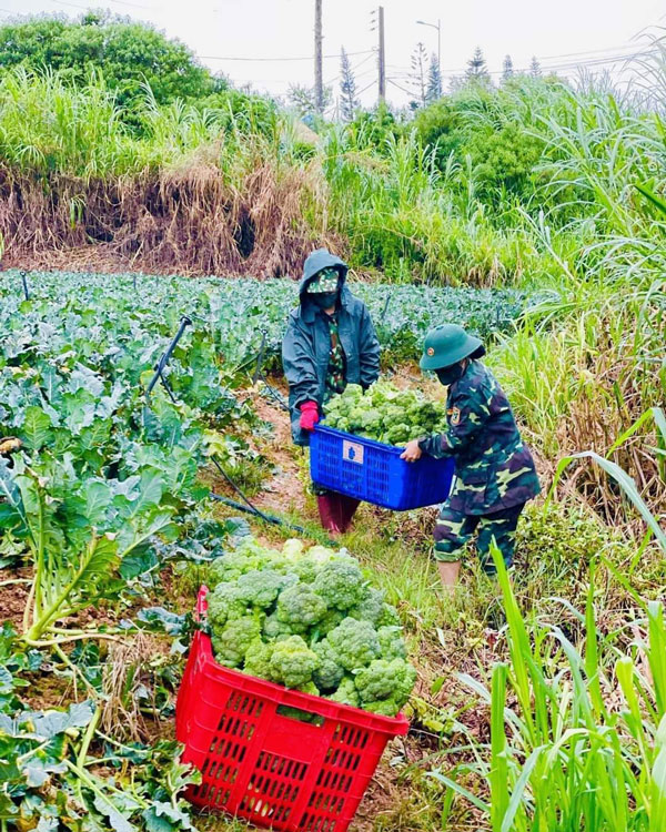 Giữ ''vùng xanh'' Học viện