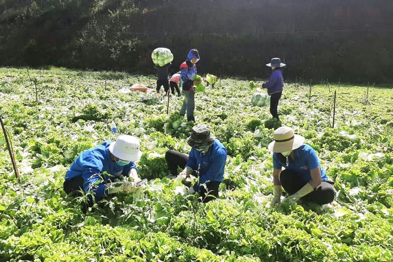 Nỗ lực thực hiện ''mục tiêu kép'' ở ''vùng xanh''