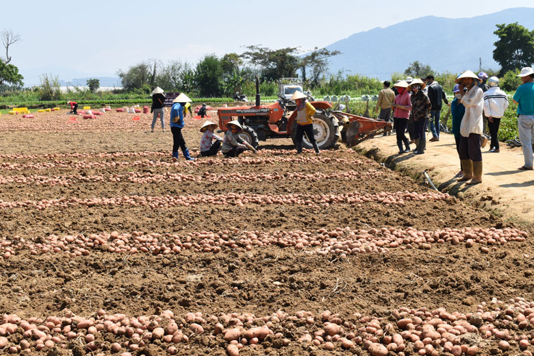 Chuyển biến từ phong trào bảo vệ ANTQ ở Đơn Dương