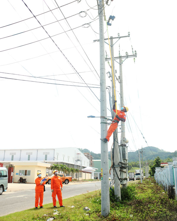 Điện lực Lâm Đồng tập trung thực hiện ''nhiệm vụ kép''