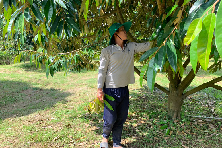 Bước chuyển mình ở xã thuần nông