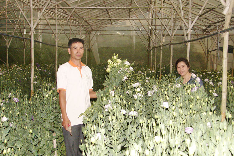 Đề xuất hướng tháo gỡ các vướng mắc trong hoạt động nông nghiệp