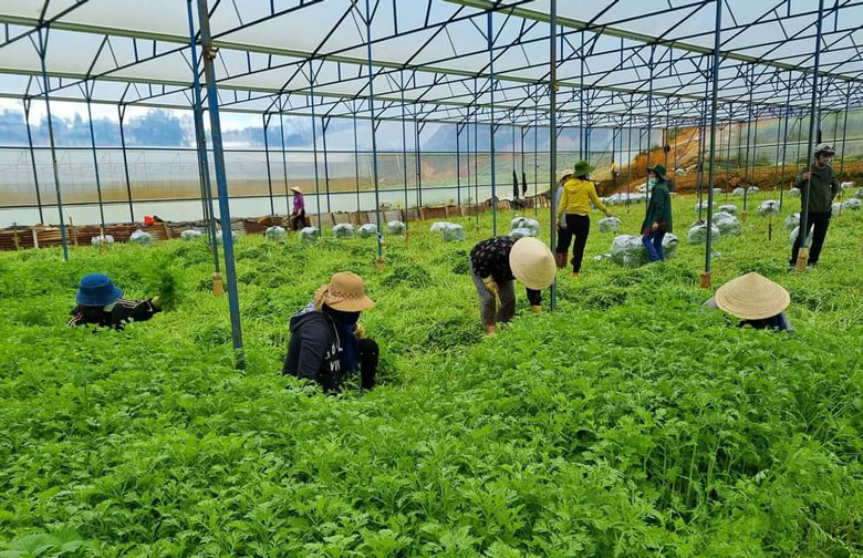 Sức mạnh Đại đoàn kết trong phòng, chống dịch Covid-19 ở Nam Tây Nguyên (Kỳ 1)