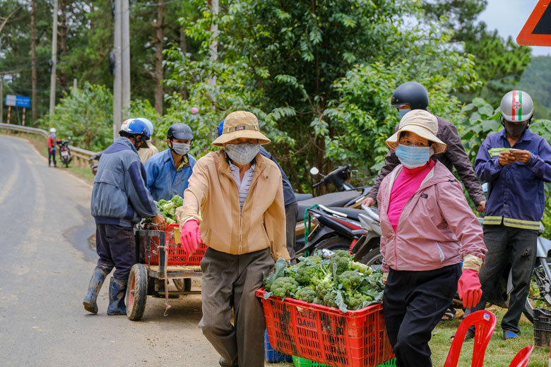 ''Xanh'' - Nam Tây Nguyên (bài 3)