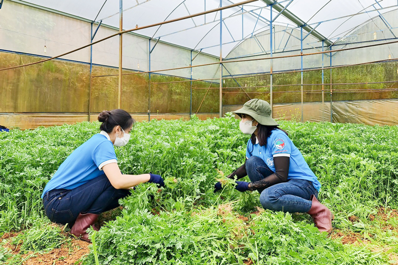 Phụ nữ Đà Lạt chung tay phòng, chống dịch