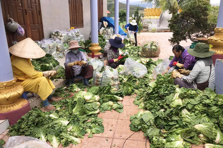 Các sư cô, Phật tử Làng chùa Đại Ninh chăm chút từng cây rau, túi củ để gửi về người dân vùng dịch được trọn vẹn nhất