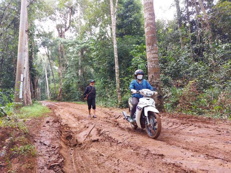 Xuyên rừng gieo chữ