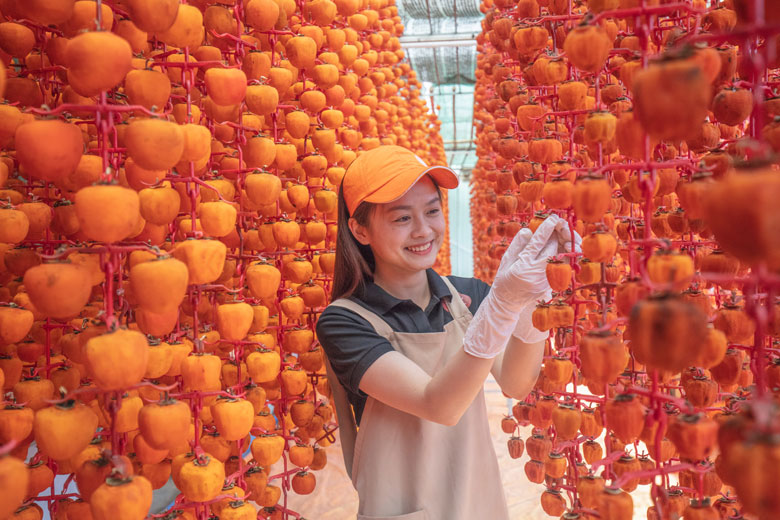 Hồng treo gió Đà Lạt. Ảnh: Võ Trang