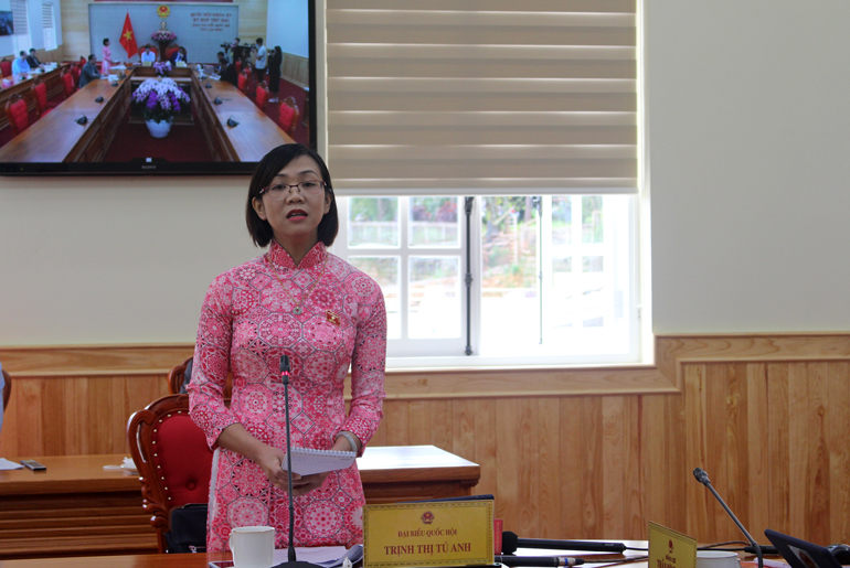 ĐBQH Trịnh Thị Tú Anh góp ý về công tác phòng chống dịch Covid-19