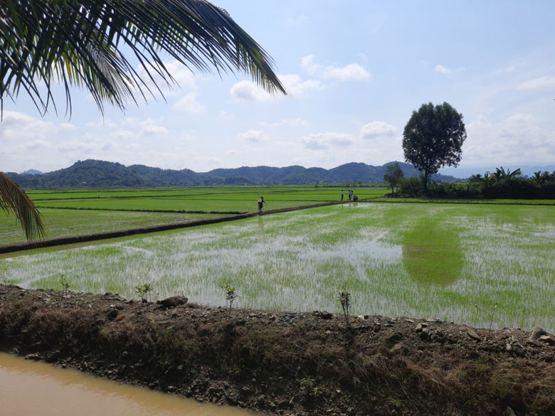 Hiện thực hóa Nghị quyết ở xã nông thôn mới nâng cao