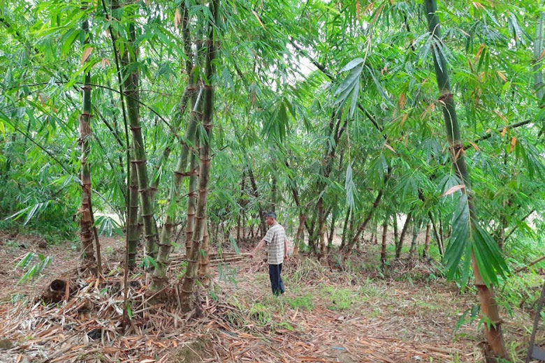 Đổi mới và nâng cao hiệu quả hoạt động Quỹ Hỗ trợ nông dân tại Đạ Tẻh