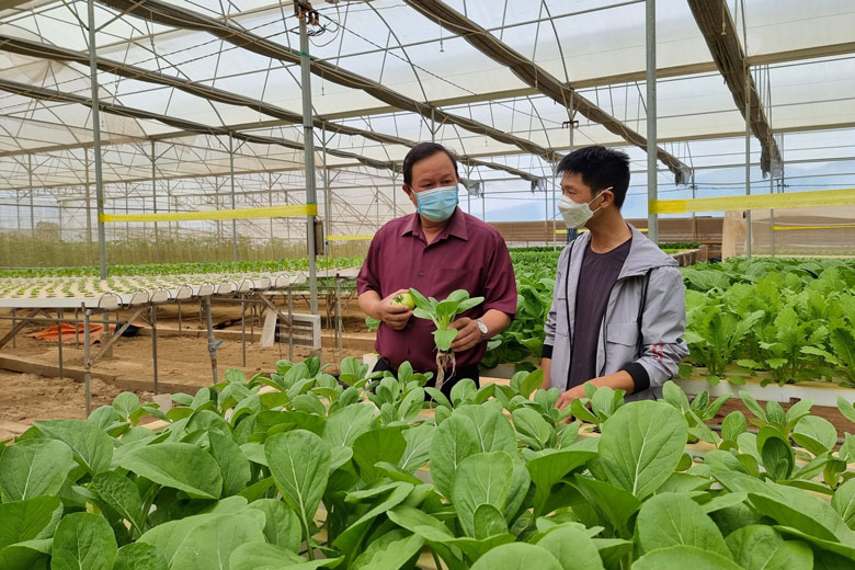 Ngày càng nhiều người dân, doanh nghiệp tập trung đầu tư sản xuất rau, hoa công nghệ cao đem lại thu nhập, góp phần đưa kinh tế Đơn Dương phát triển mạnh mẽ