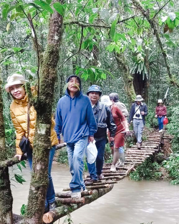 Dòng nước lọc từ muôn ngàn bộ rễ