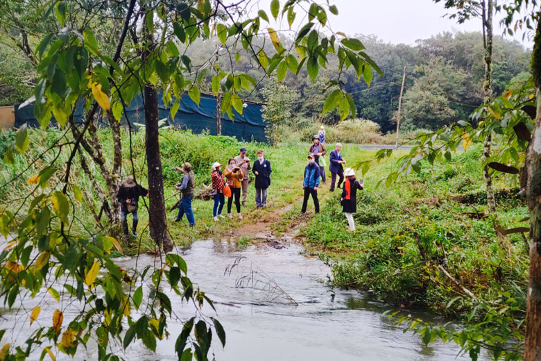 Về lắng nghe hơi thở của rừng