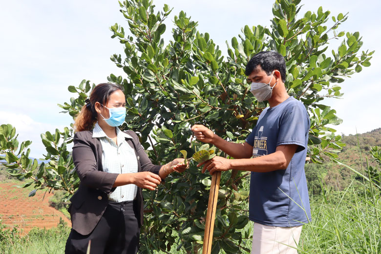 Cát Tiên: Phát huy vai trò của đảng viên trong vùng đồng bào dân tộc thiểu số