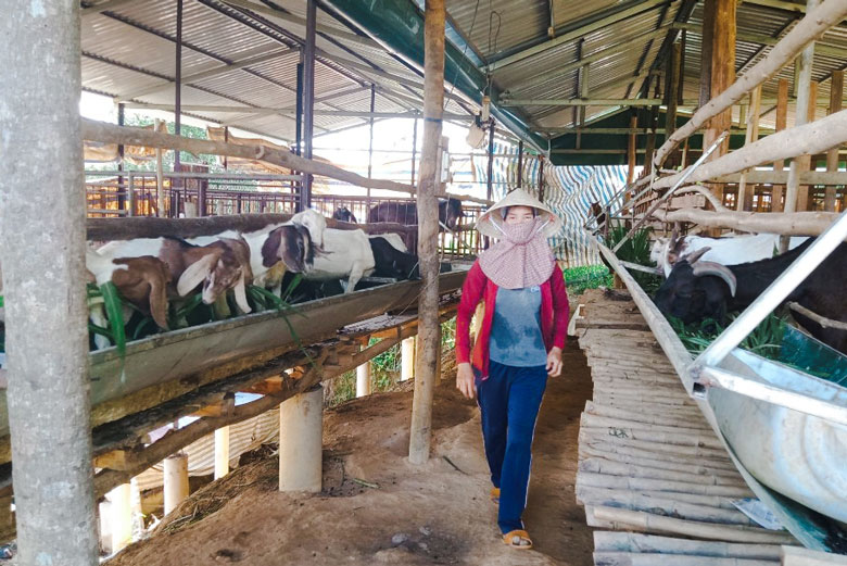 Quyết tâm thoát khỏi nghèo đói