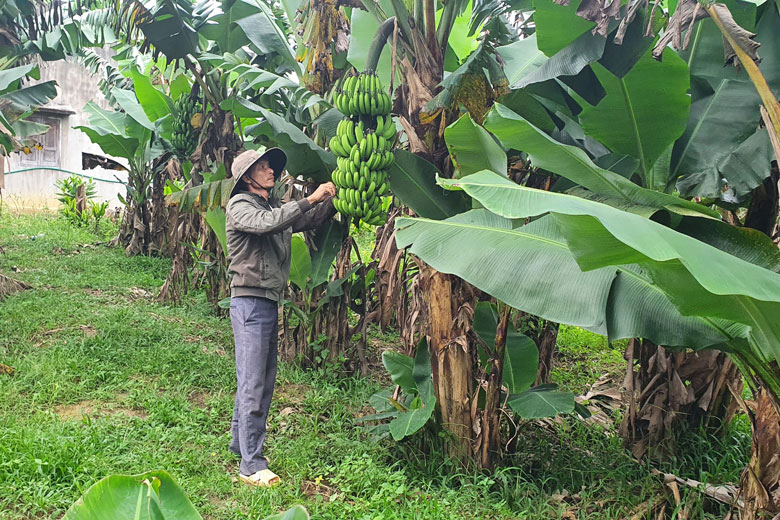 Đam Rông: Lan tỏa phong trào thi đua yêu nước trong nông dân