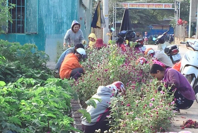 Phụ nữ xứ đạo chung tay xây dựng nông thôn mới kiểu mẫu