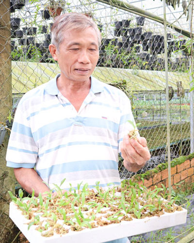 Thu bạc tỷ từ niềm đam mê với lan