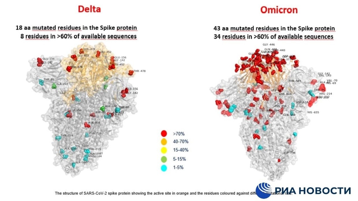 Hình ảnh đầu tiên chỉ ra sự khác biệt giữa hai biến thế Omicron và Delta