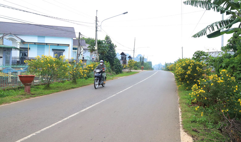Thôn kiểu mẫu ở xứ đạo Lộc Thanh