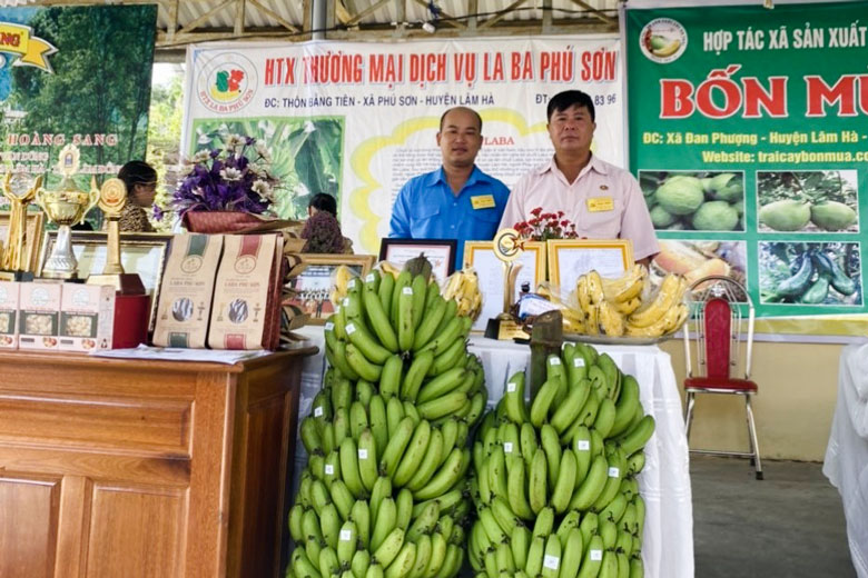 Ghi nhận về mô hình kinh tế tập thể của những cựu chiến binh ở Phú Sơn