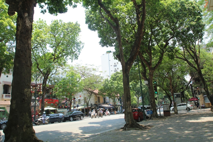 Thời tiết ngày 14/12: Bắc Bộ ngày nắng, Trung Bộ mưa dông