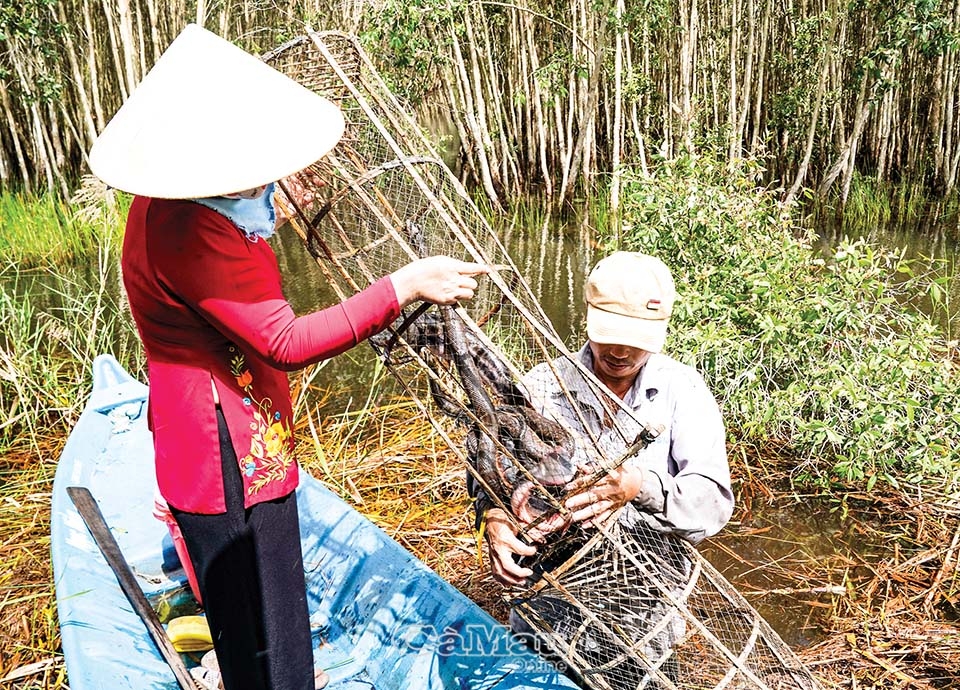 Mỗi sản vật trong mùa nước nổi đều mang đến nguồn thu nhập cho bà con, từ con cá, trăn, rắn, rùa, lươn… đến rau màu.